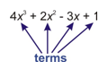polynomial_term